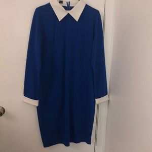 White collar dress